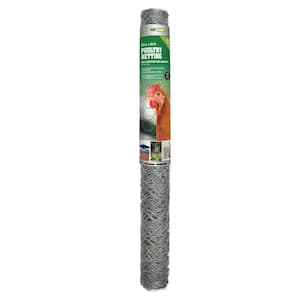 2 in. Mesh x 2 ft. x 25 ft. 20-Gauge Galvanized Poultry Netting