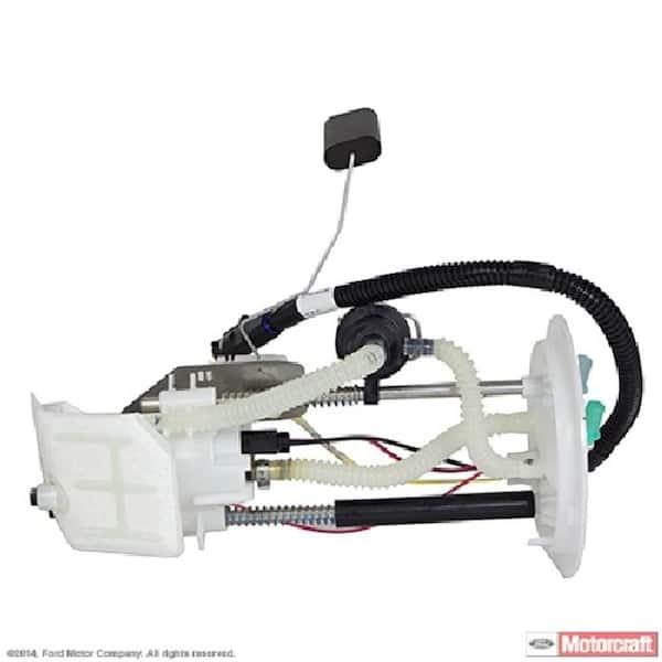 Fuel Pump and Sender Assembly
