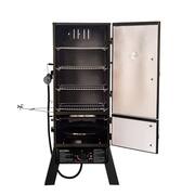 30 in. Dual Fuel Propane Gas and Charcoal Smoker in Black