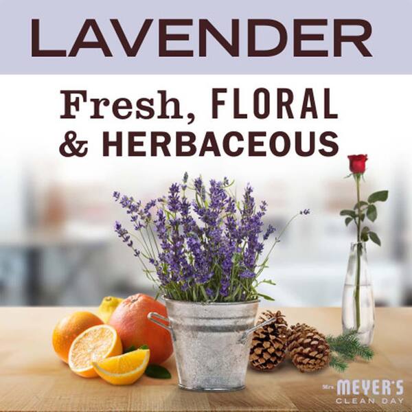 Shop MRS MEYERS CLEAN DAY Lavender All-Purpose Cleaner, Dish Soap