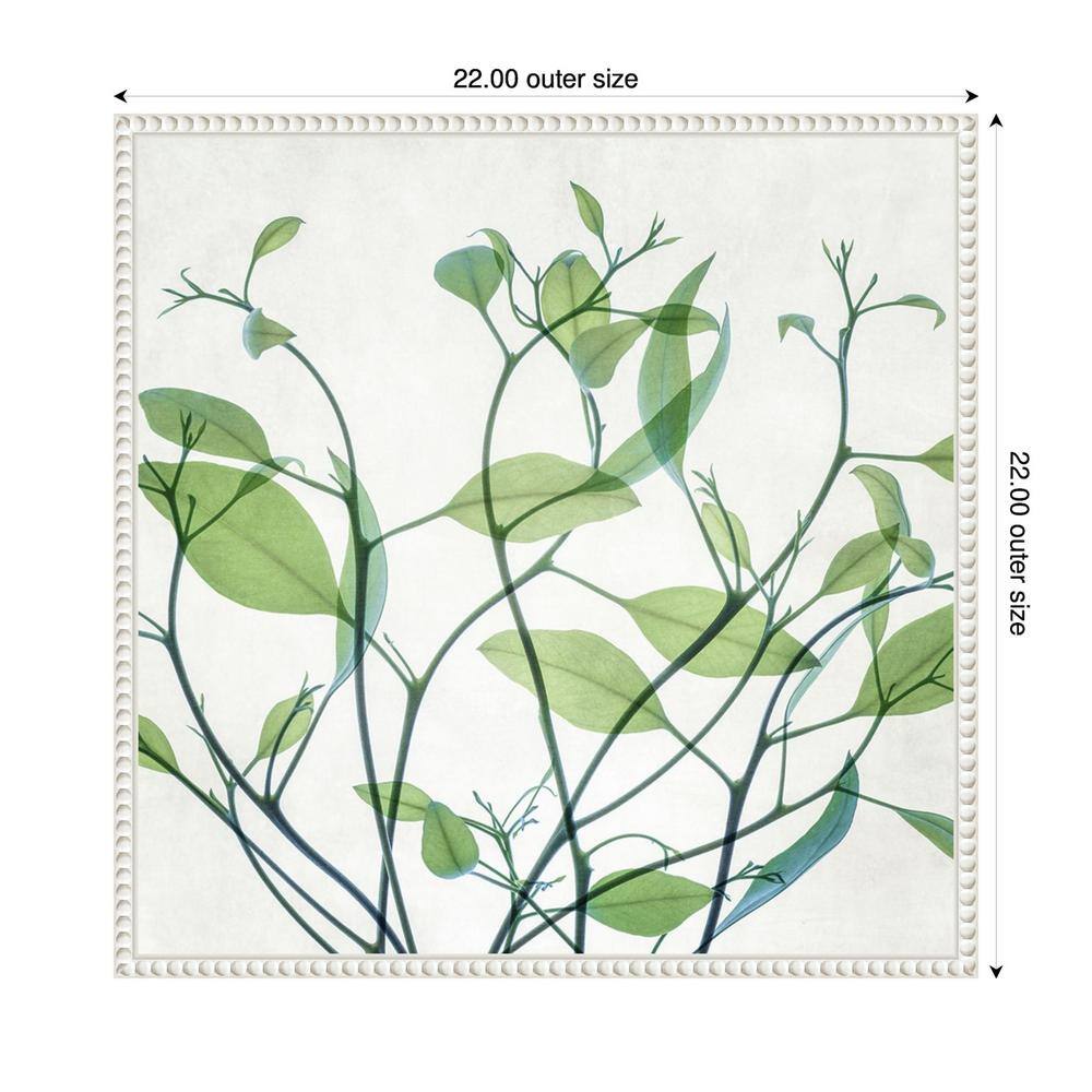 Rendezvous I Green Leaf Canvas Print with White Frame