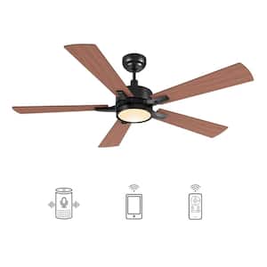 Apex 52 in. Dimmable LED Indoor/Outdoor Black Smart Ceiling Fan with Light and Remote, Works w/Alexa/Google Home