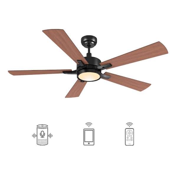 CARRO Apex 52 in. Dimmable LED Indoor/Outdoor Black Smart Ceiling Fan with Light and Remote, Works w/Alexa/Google Home