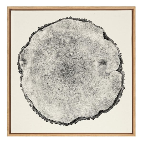 Kate and Laurel Tree Rings Linen by F2Images Framed Nature Canvas Wall Art Print 30.00 in. x 30.00 in.
