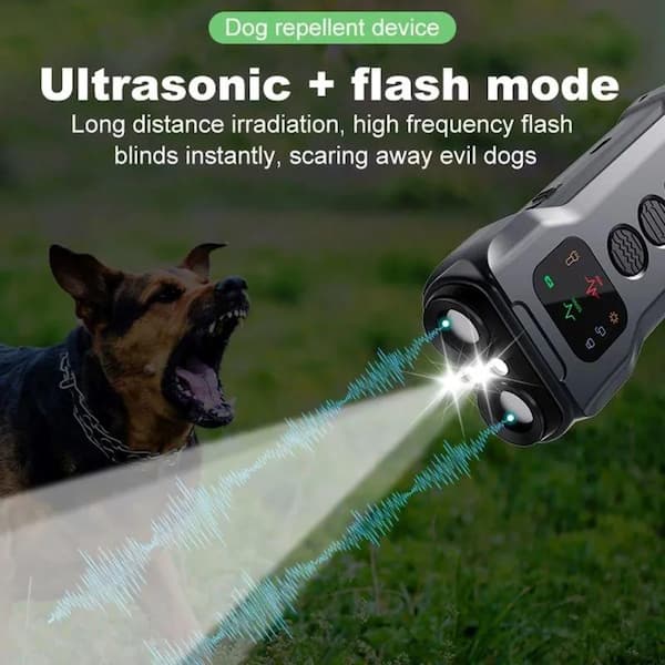 Serika With Dog – Caution 9 Akita ideas | akita, akita dog, dogs