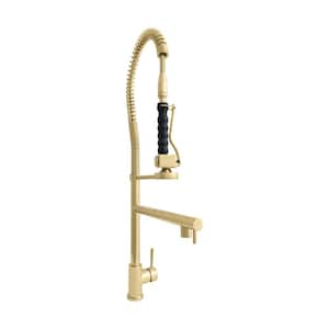 Van Gogh Double Handle Deck Mount Pull Down Sprayer Standard Kitchen Faucet in Polished Gold