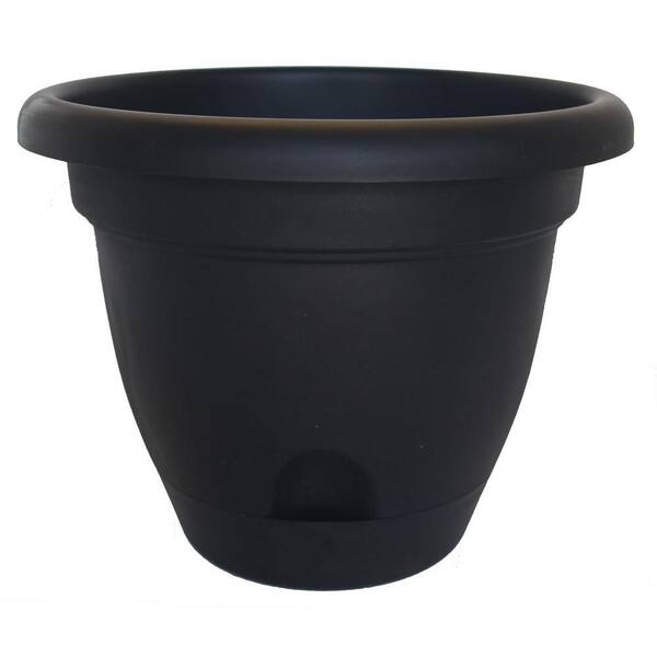 Bloem Lucca 8 in. Round Black Plastic Planter (12-Pack)