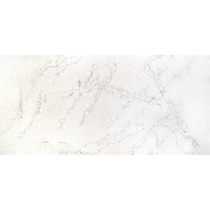 Quartz Countertop Sample in Whitendale