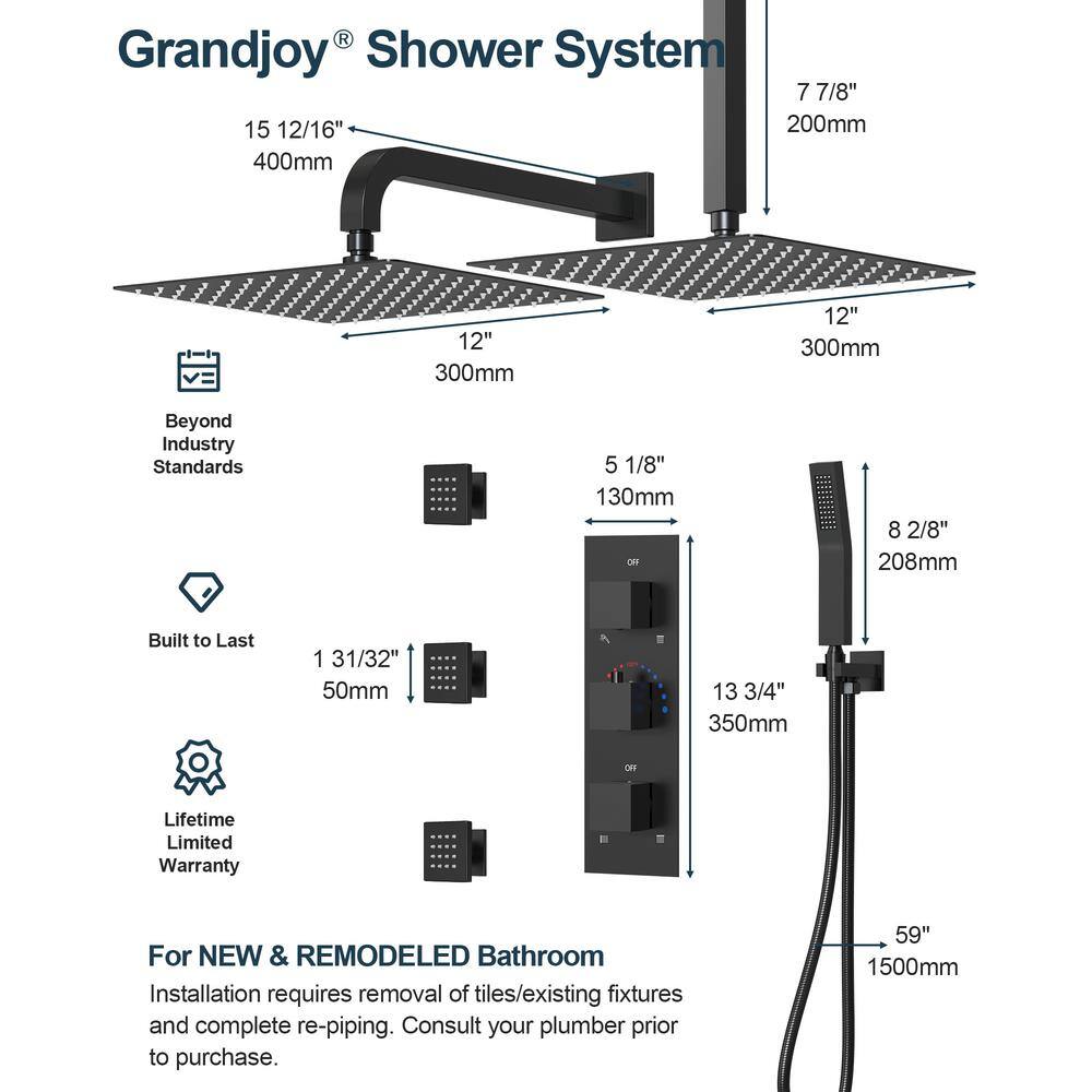 Matte Black Dual Shower Head System with Handheld and Jets