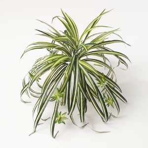 Artificial 19 in. Green Retro-Inspired Spider Plant