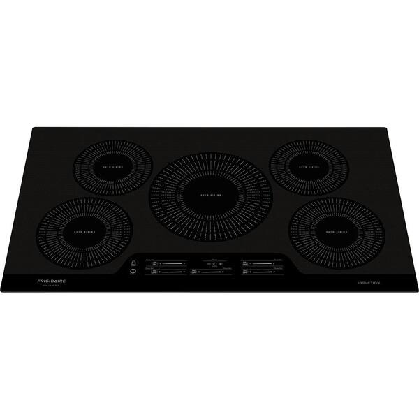 home depot induction hot plate