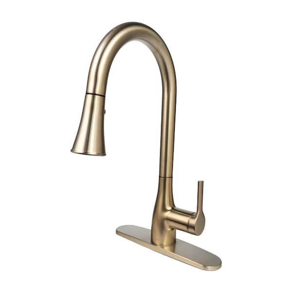 FLOW Classic Series Single-Handle Pull-Down Sprayer Kitchen Faucet in Champagne Gold