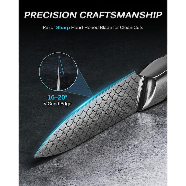 KYOKU Shogun Koi Series 3.5 in. VG10 Stainless Steel V Edge