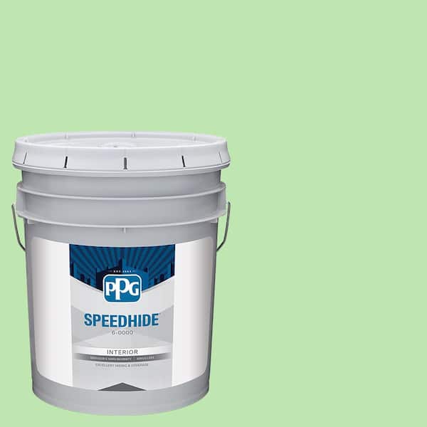 5 gal. PPG1224-5 Almost Aloe Satin Interior Paint