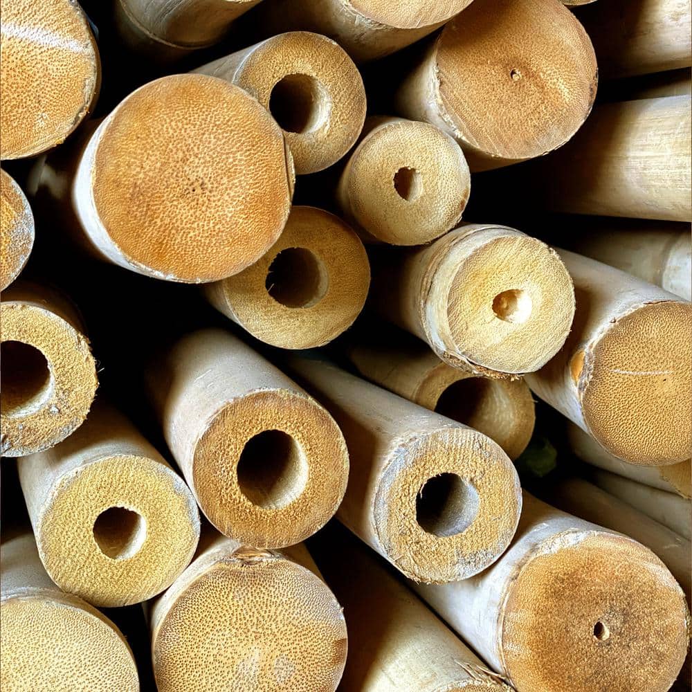 Tam Vong Solid Bamboo Poles for Structural Support, 72" Length (Set of 6)