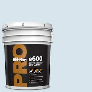 5 gal. #560C-1 Rain Water Low Luster Exterior Paint