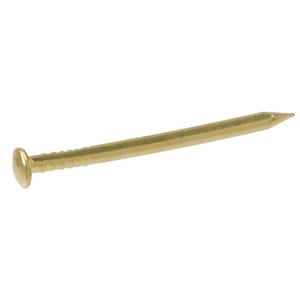 new 16 gauge 1/2" Long Brass Plated Escutcheon Pins brad nails steel 220 nails 
