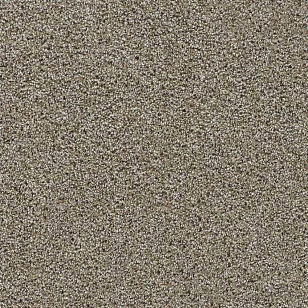 8 in. x 8 in. Texture Carpet Sample-Friendship Fables-Color Faithful price history on PriceWatchPro