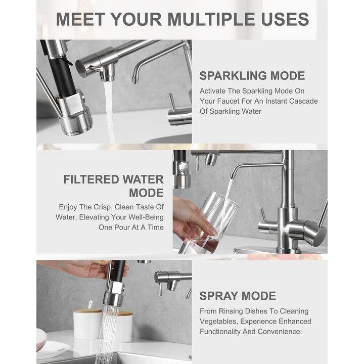 Brushed Nickel Dual Handle Pull Down Kitchen Faucet with Spray