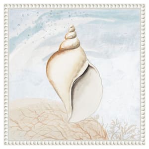 "Ocean Tropical Seashell I" by Patricia Pinto 1-Piece Floater Frame Giclee Coastal Canvas Art Print 16 in. x 16 in.