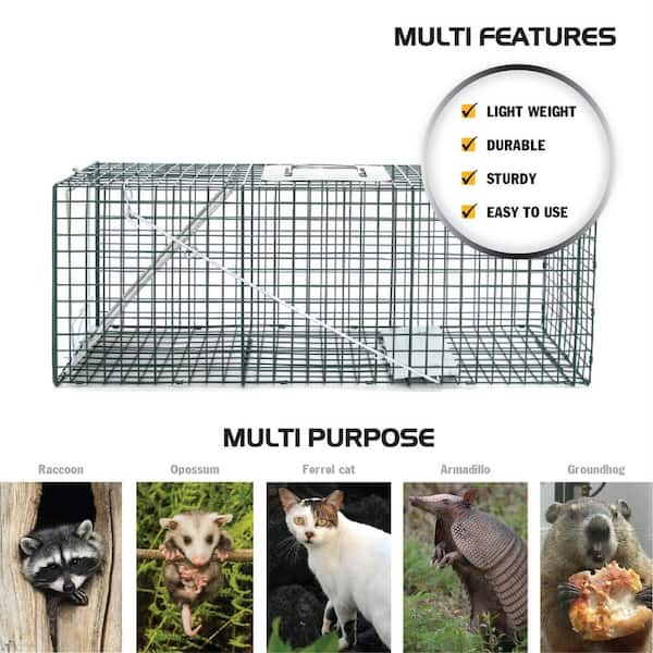 88-205 Homestead 32 Inch Live Animal Trap - Specialized For Raccoons,  Opossums, Groundhogs, Skunks, Feral Cats, Squirrels - Humane Way