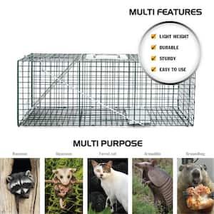 Large 1-Door Professional Humane Steel Live Animal Cage Trap (Raccoons, Opossums, Groundhogs, Skunks, Feral Cats)
