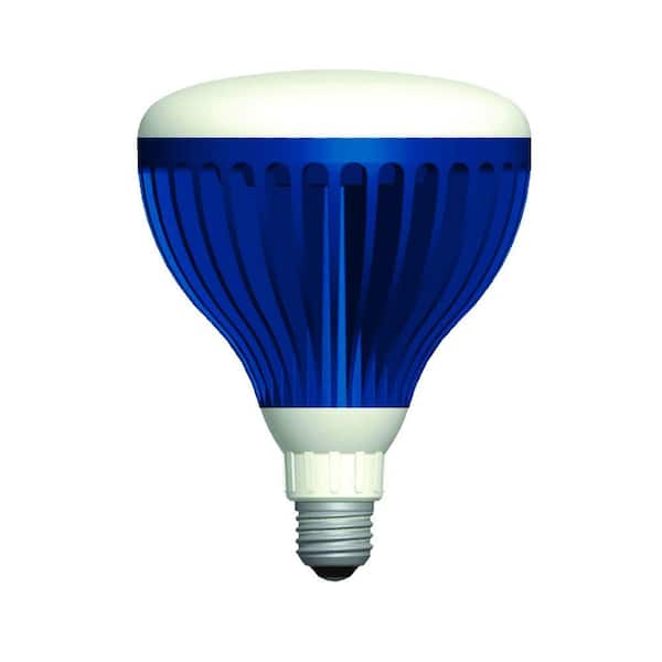 Aqua Brite 22-Watt Pure White 120-Volt LED Pool Light Bulb