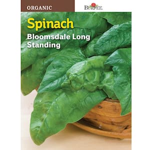 Organic Spinach Bloomsdale Long-Standing Seed