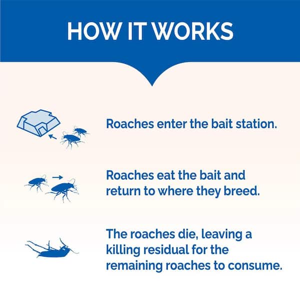 Hot Shot MaxAttrax Roach Bait Stations (12-Count) HG-96987-2