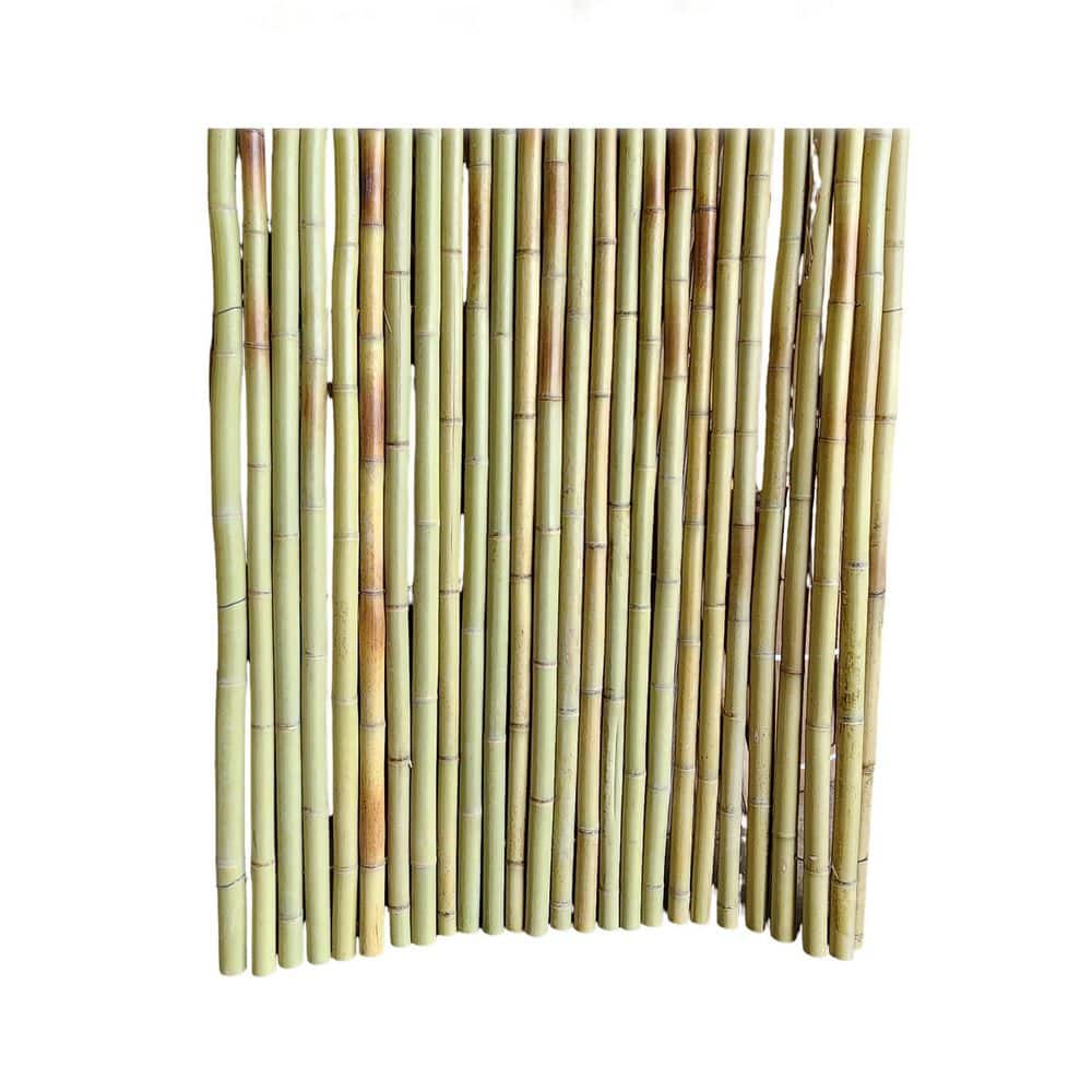 4 ft. W x 5 ft. H Natural Bamboo Dig Privacy Rolled Fence-1 roll price history on PriceWatchPro