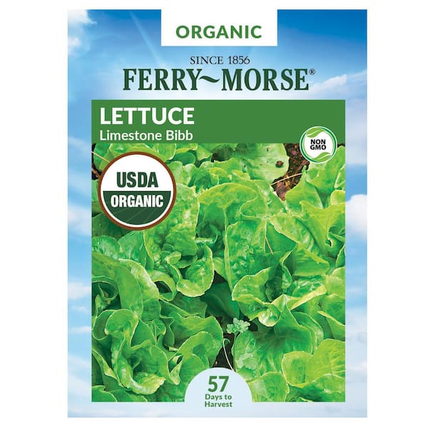 Organic Lettuce Bibb Vegetable Seed