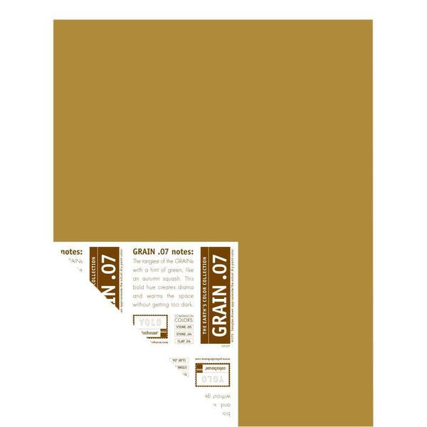 YOLO Colorhouse 12 in. x 16 in. Grain .07 Pre-Painted Big Chip Sample