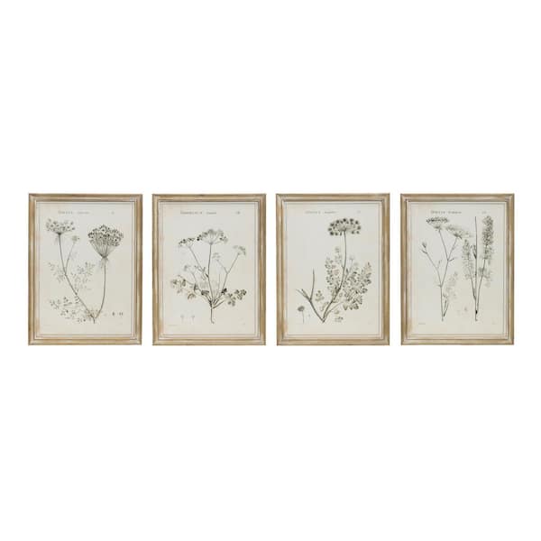 3R studios "Vintage Reproduction Botanical" Wood Framed Nature Wall Art Print (Set of 4 Styles) 23.6 in. x 17.7 in. .