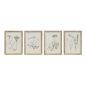Vintage Reproduction Botanical in. Wood Framed Nature Wall Art Print Styles 23.6 in. x 17.7 in. (Set of 4)
