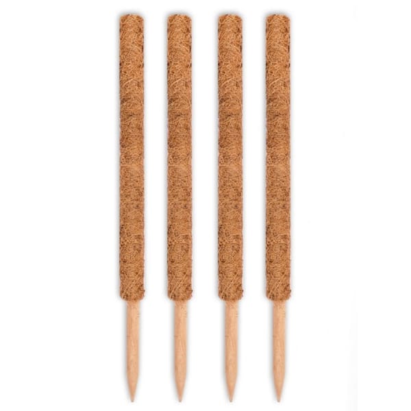 24 in. Coco Moss Totem Pole (4-Pack)