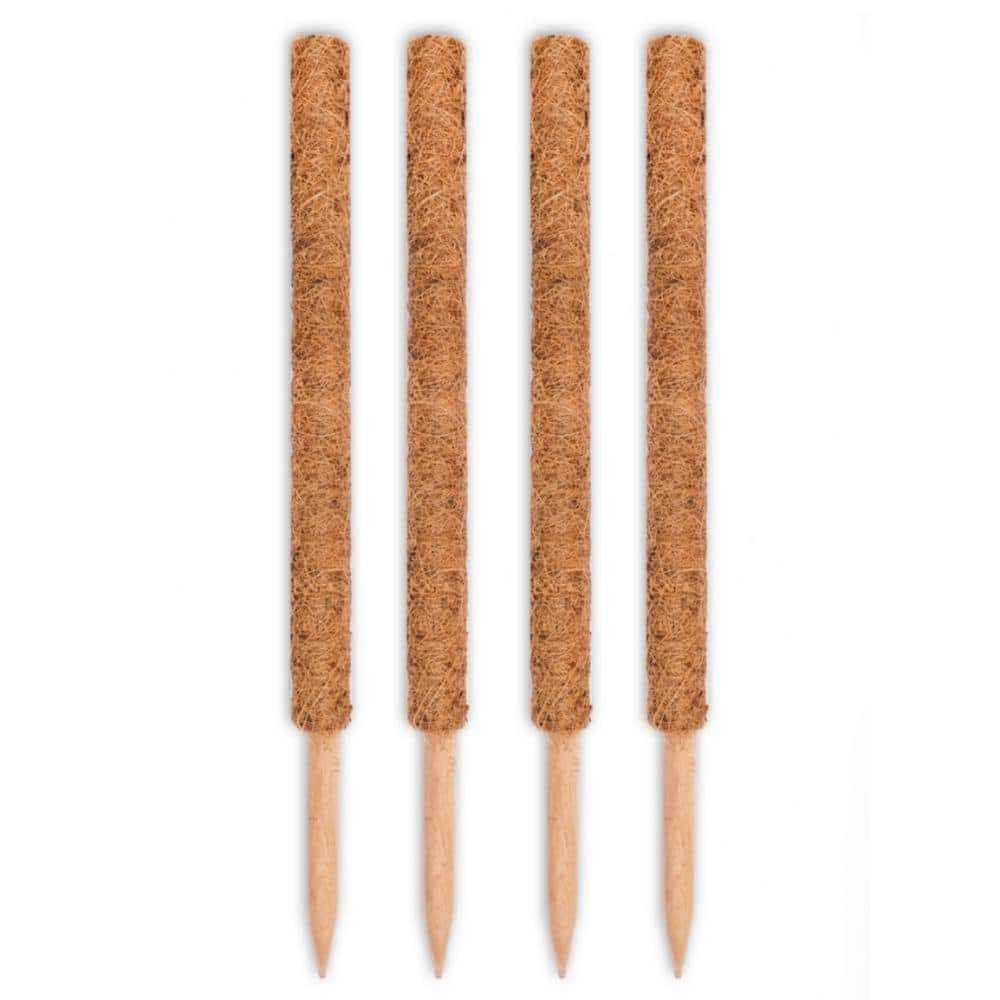 24-Inch Natural Coco Moss Plant Support Stakes, 4-Pack