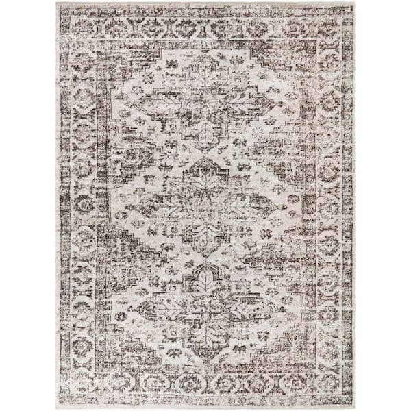 Polymnia Brown 5 ft. x 7 ft. Southwestern Medallion Area Rug
