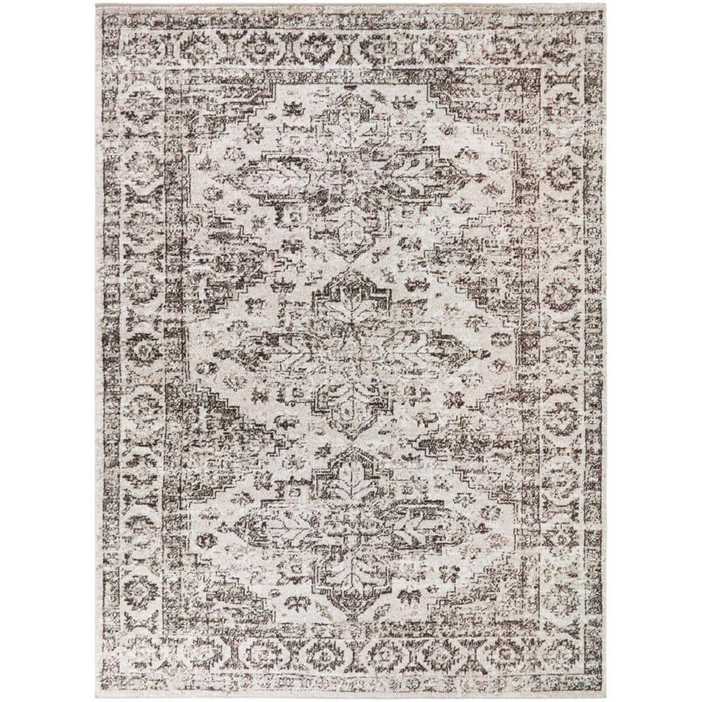 Polymnia Brown 8 ft. x 10 ft. Southwestern Medallion Area Rug price history on PriceWatchPro