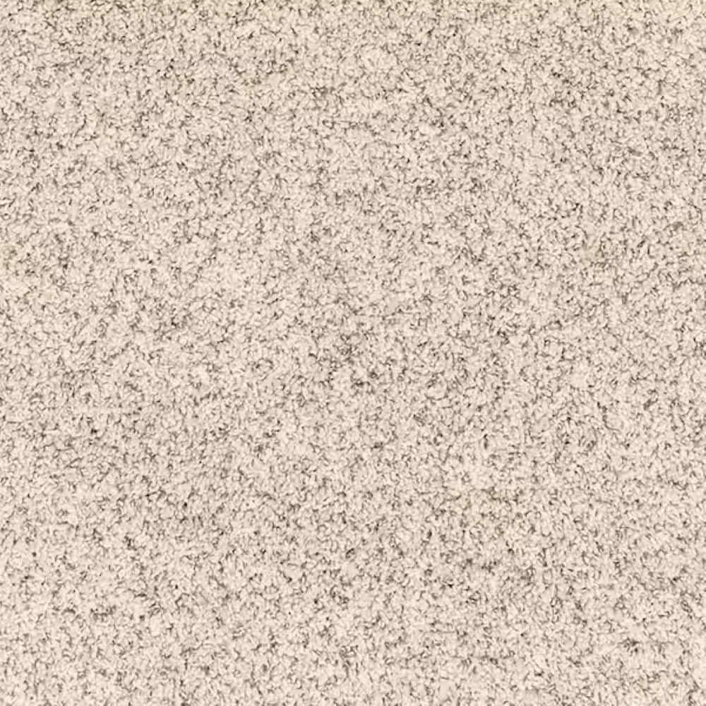 8 in. x 8 in. Texture Carpet Sample - Urban Cozy - Color Sentinel price history on PriceWatchPro