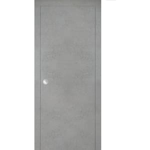 Planum 0010 24 in. x 80 in. Flush Concrete Finished Wood Sliding Door with Single Pocket Hardware