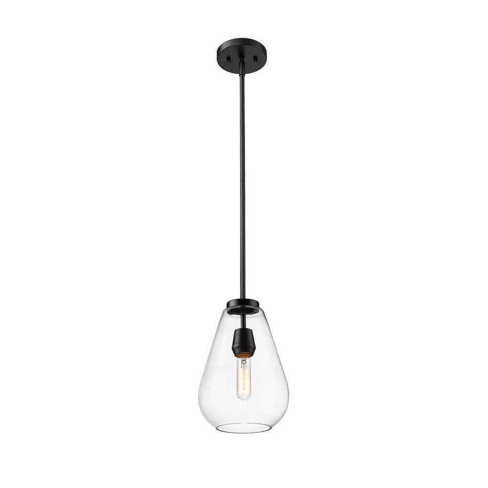 Ayra Matte Black and Nickel Glass Pendant Light