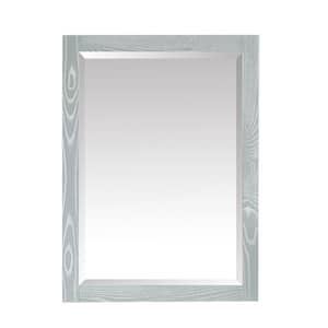 Riley 24 in. W x 32 in. H Framed Rectangular Beveled Edge Bathroom Vanity Mirror in Seal Salt Gray