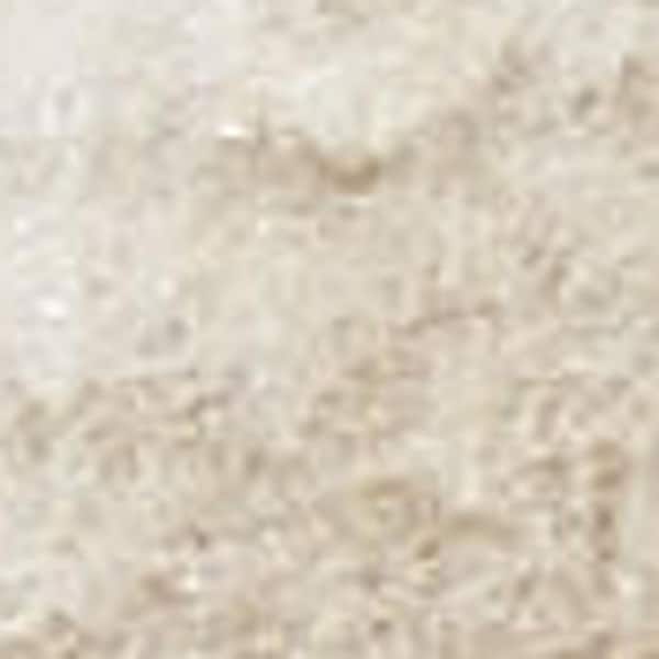 5 ft. x 7 ft. Beige and Ivory Moroccan Power Loom Area Rug