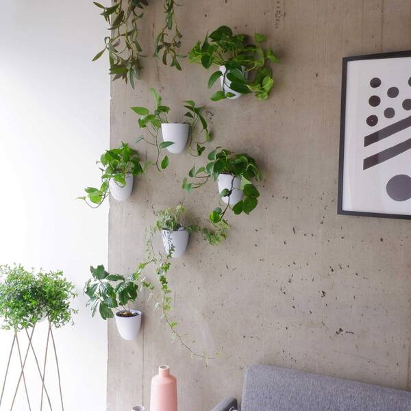 plant organizer indoor Plant Stand – Durable, Space-Saving Indoor Plant Display – MHB Hydroponics main image 0
