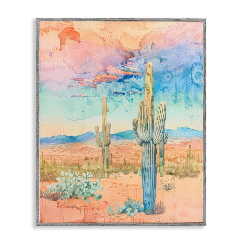 Pastel Desert Sky by LSR Design Studio Gray Framed Nature Giclee Art Print 30 in. x 24 in. price history on PriceWatchPro