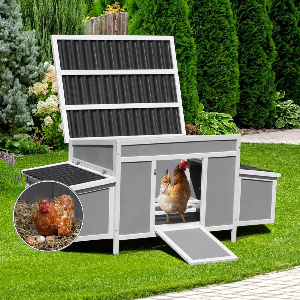 Gray Weatherproof Pinewood Chicken Coop with Nesting Boxes