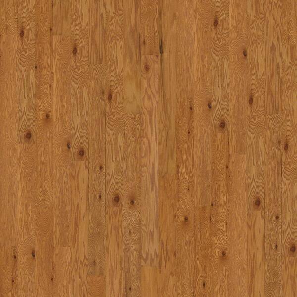 Shaw Take Home Sample - Bradford Oak Buckskin Oak Engineered Hardwood Flooring - 5 in. x 8 in.