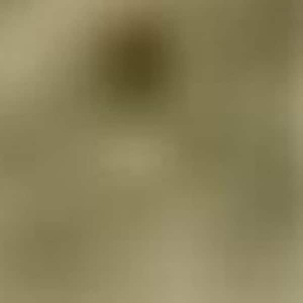 8 X 10 Blue, Rust Oriental Washable Area Rugs Runner Rug