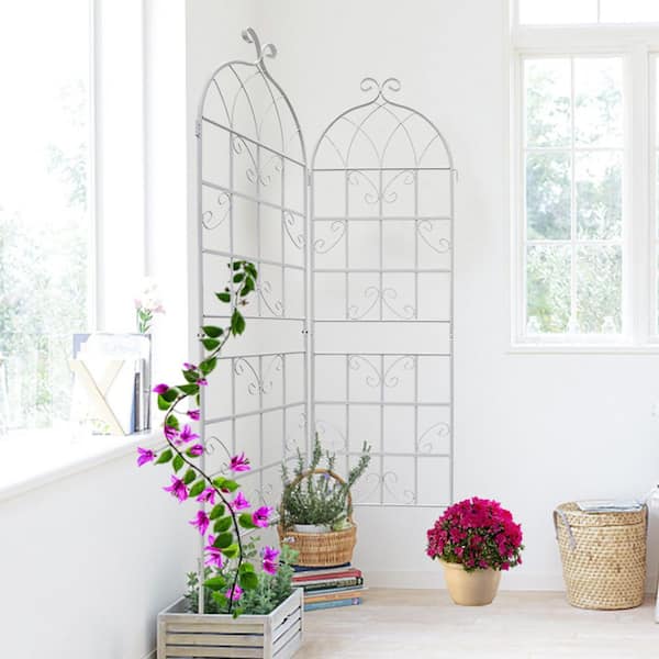 Unbranded 2-Pack 19.7 in. x 71 in. Cream White Metal Garden Trellis, Rustproof Trellis for Climbing Plants, Outdoor Flower Support