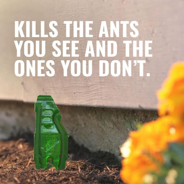 Outdoor Liquid Ant Bait Stakes (8-Count)
